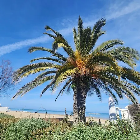 Pine Park & Seafront Pescara * Montesilvano Marina