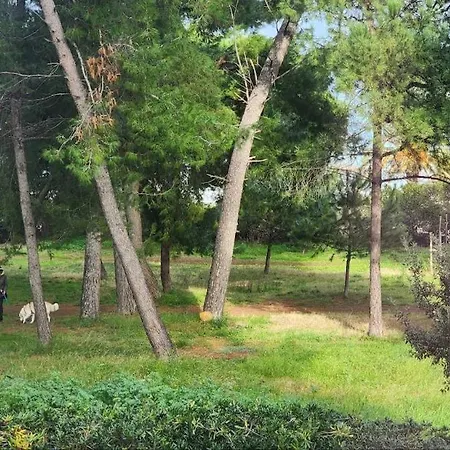 Apartment Pine Park & Seafront Pescara